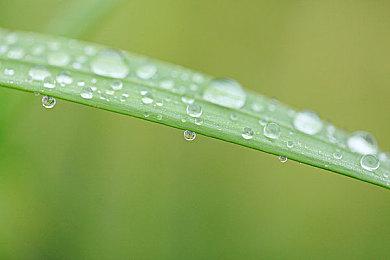 《Apex英雄》第23赛季公布 原版地图和技能回归